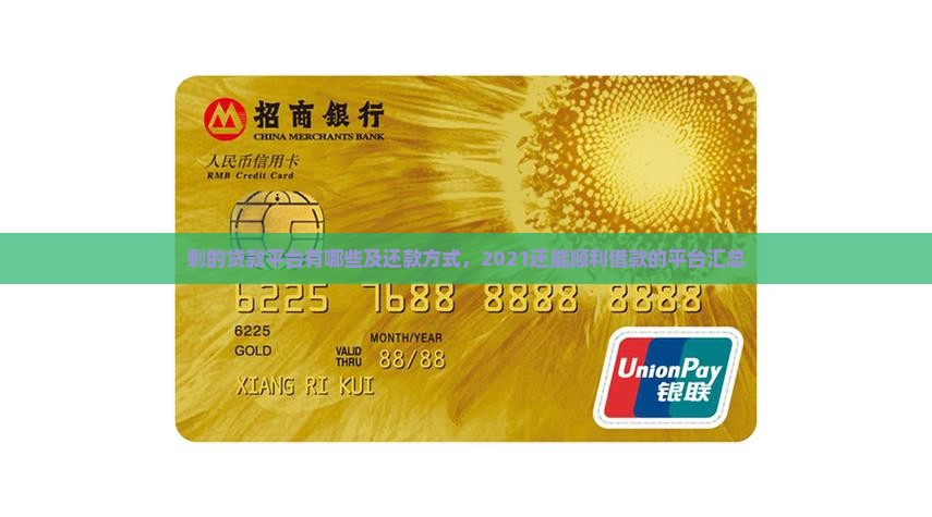 剩的贷款平台有哪些及还款方式，2021还能顺利借款的平台汇总