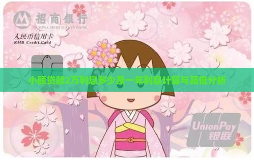 小额贷款2万利息多少及一年利息计算与高低分析