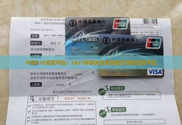 今年315贷款平台：2021年曝光名单及被打掉的借款平台