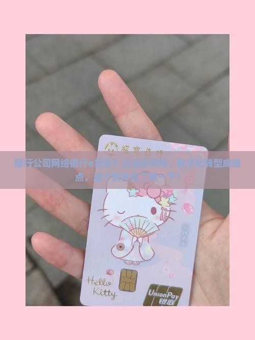 建行公司网络银行e贷款？企业融资难、数字化转型成痛点，这个新方式了解一下！