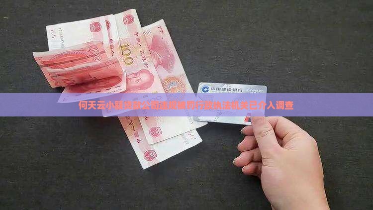 何天云小额贷款公司违规被罚行政执法机关已介入调查