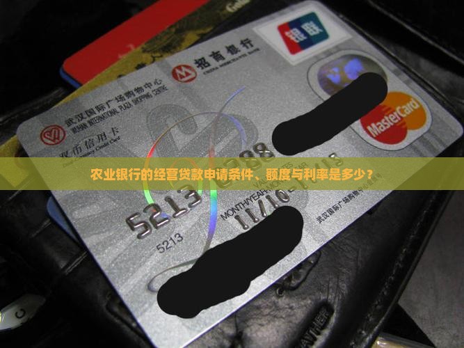 农业银行的经营贷款 农业银行的经营贷款
