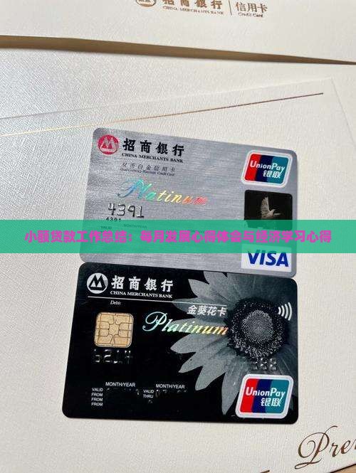 小额贷款每月进步感想