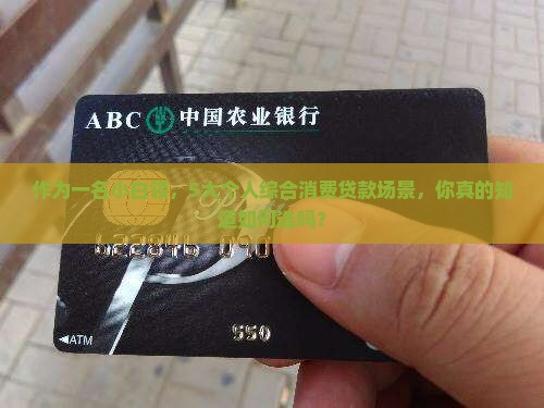 个人综合类消费贷款包括