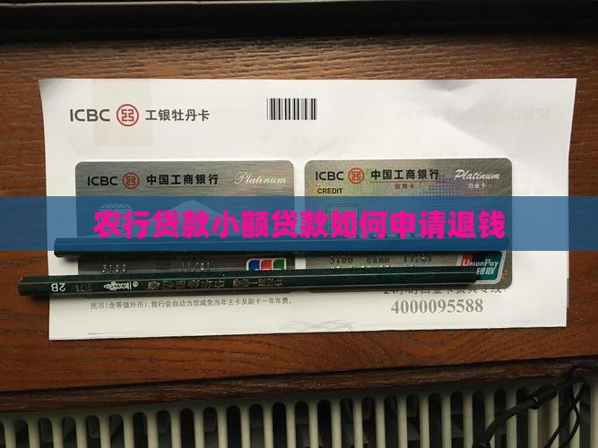 农行小额贷款退钱怎么退