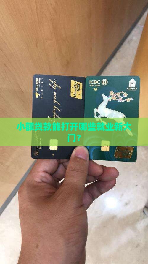 小额贷款就业方向