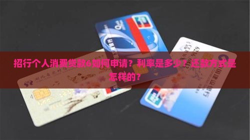 招行个人消费贷款6