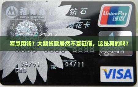 什么大额贷款不看征信