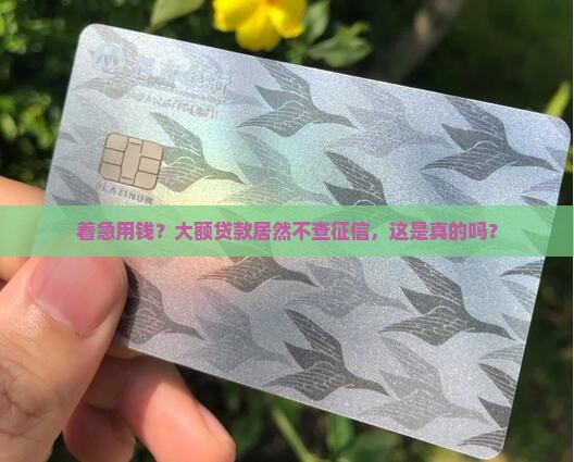 什么大额贷款不看征信