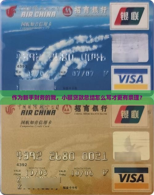 小额贷款财务总结怎么写