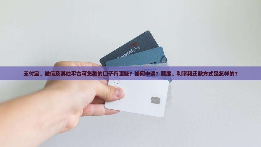 可贷款的口子