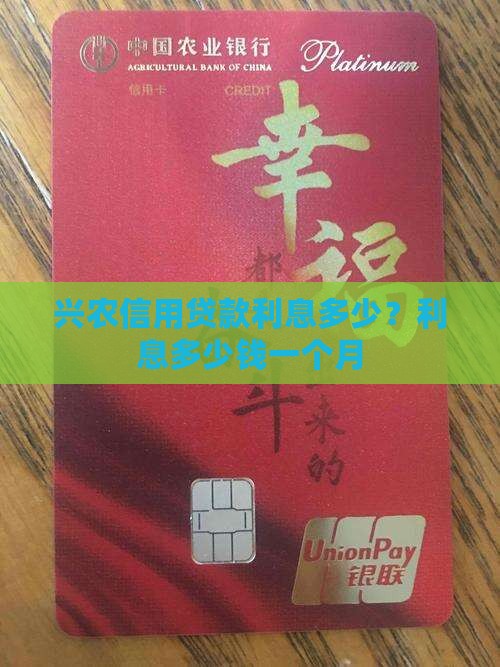兴农信用贷款利息多少