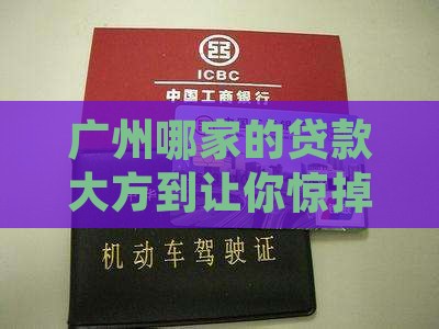 广州有大额贷款的公司吗