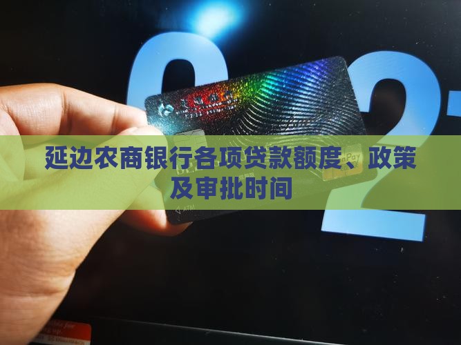 延边农商银行各项贷款