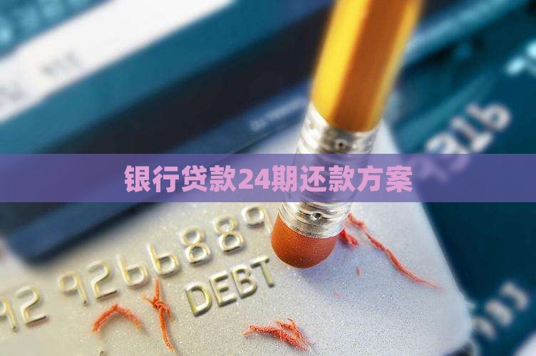银行个人贷款24期