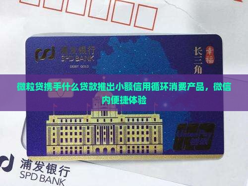 微粒贷和什么贷款和做