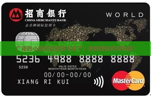 广德小额贷款信用卡