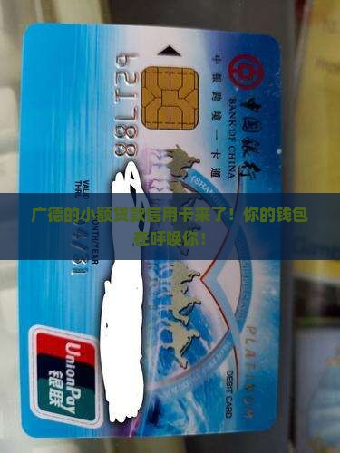 广德小额贷款信用卡