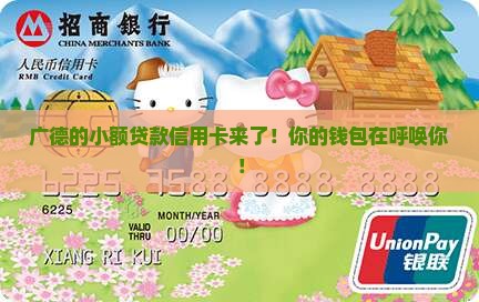 广德小额贷款信用卡