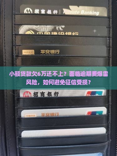 小额贷款欠6万还不上 小额贷款欠6万还不上