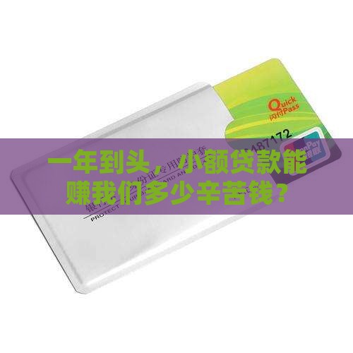 小额贷款多少钱一年