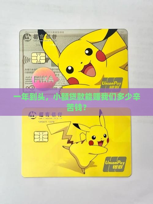 小额贷款多少钱一年