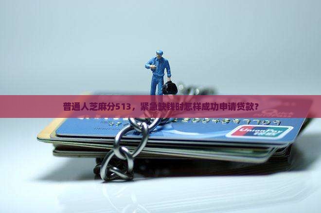 芝麻分513能贷款吗