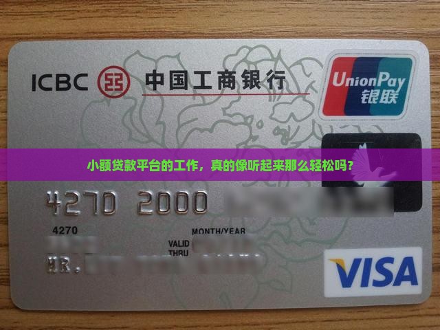 小额贷款平台工作