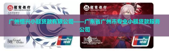 广州恒兴小额贷款