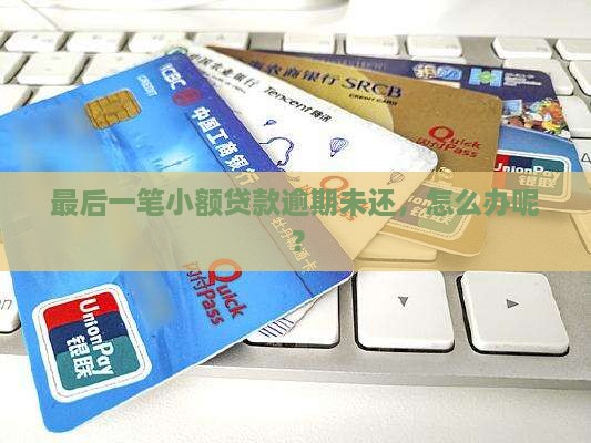 小额贷款最后一期没还