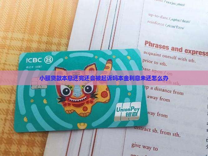 小额贷款本