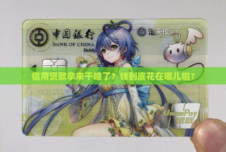 信用贷款的用途核查