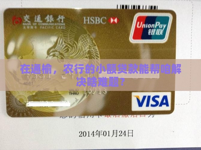 农行通榆支行小额贷款