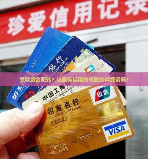 存信用贷款软件