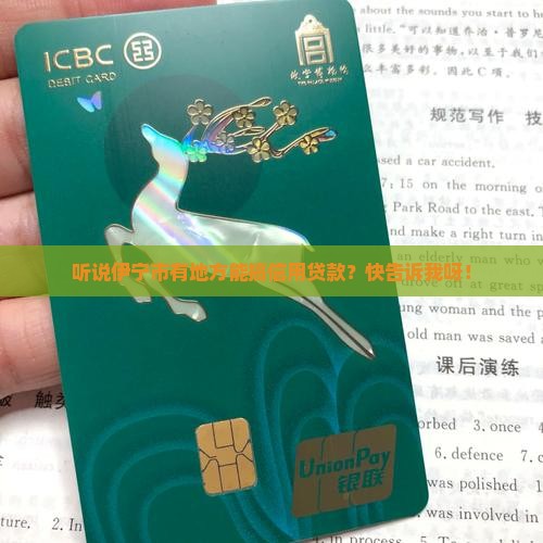 伊宁市哪里可以信用贷款