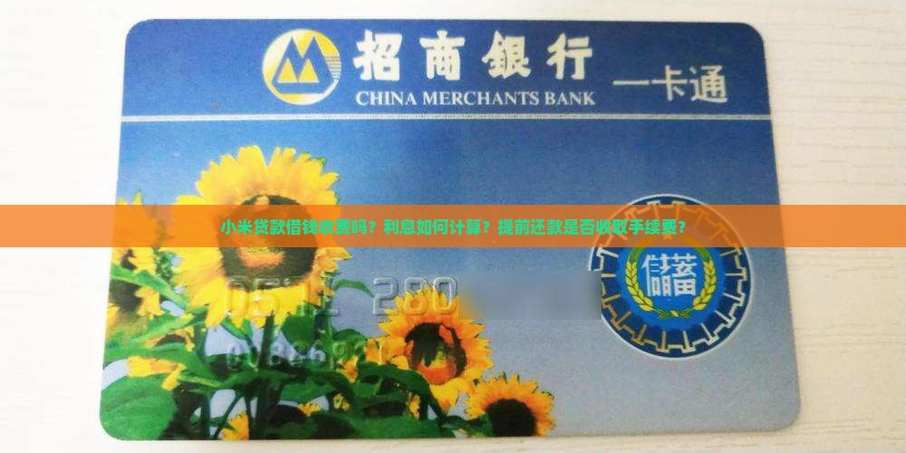 小米贷款借钱收费吗