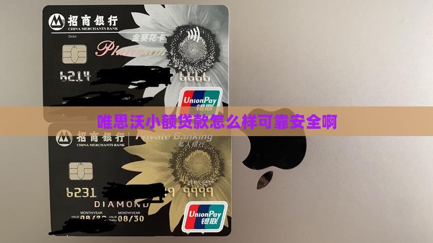 唯思沃小额贷款怎么样