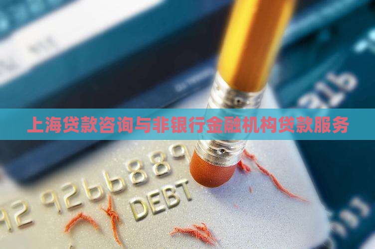 上海非银行贷款