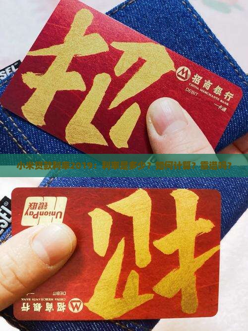 小米贷款利率2019