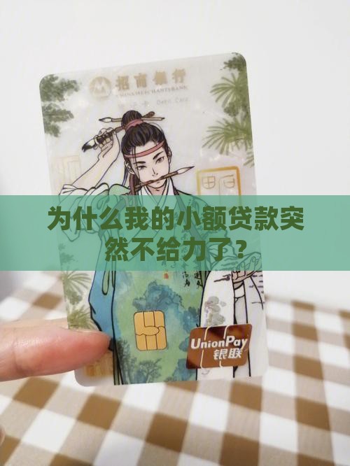 小额贷款不能用