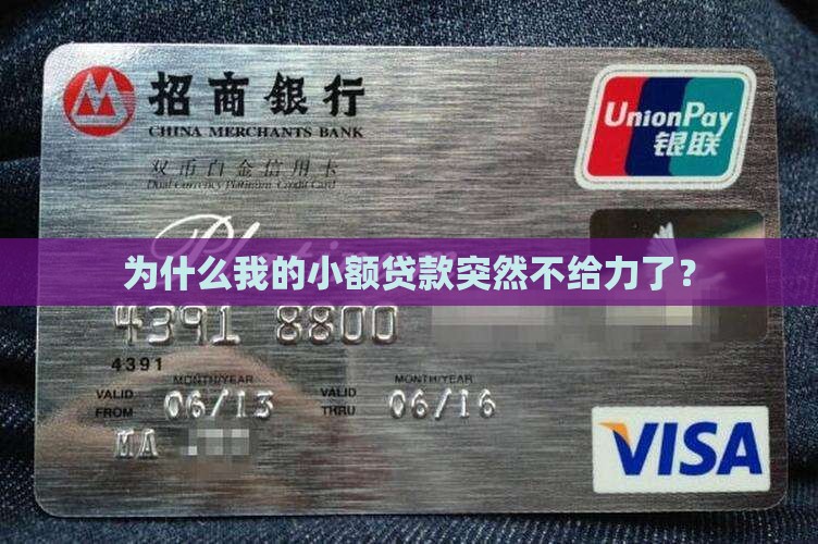小额贷款不能用