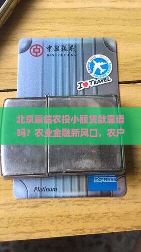 北京崇信农投小额贷款