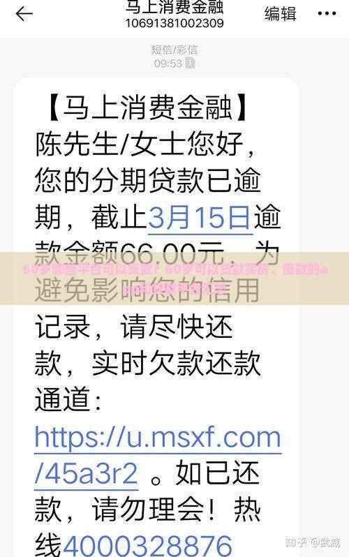 60岁哪些平台可以贷款