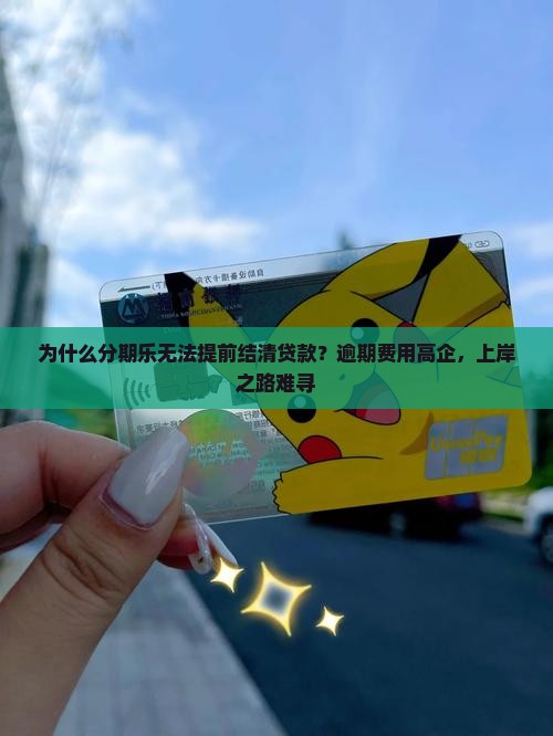 分期乐无法提前结清贷款