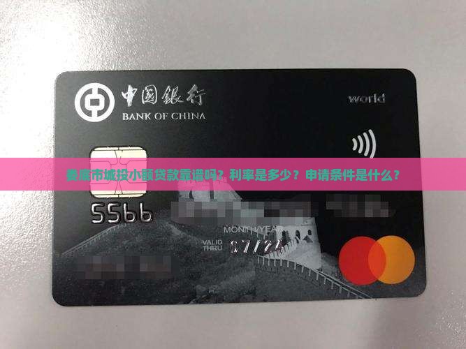 娄底市城投小额贷款