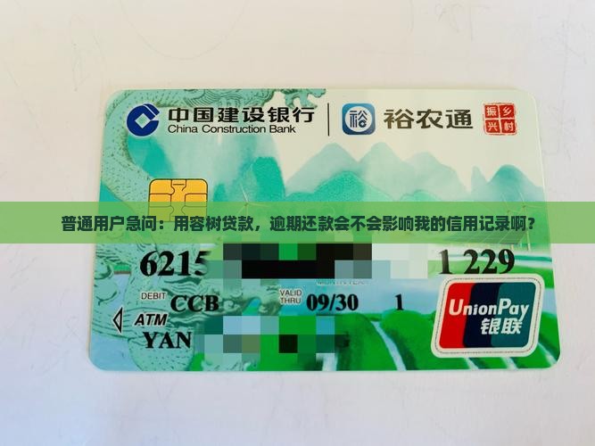 容树贷款上征信吗