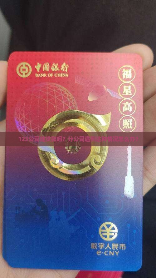 分公司具备贷款主体吗合法吗