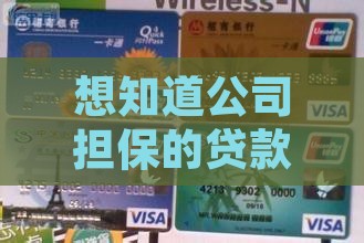 如果查公司担保的贷款
