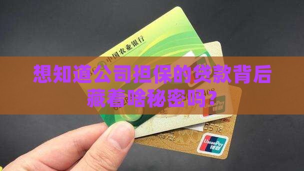 如果查公司担保的贷款