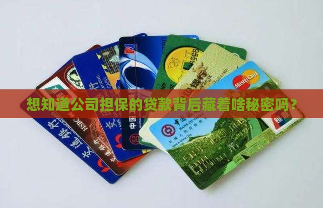 如果查公司担保的贷款